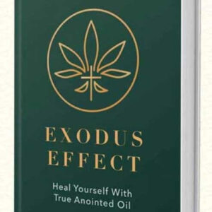 Exodus Effect Reviews – Help Your Body Defend Itself Against Common Illnesses