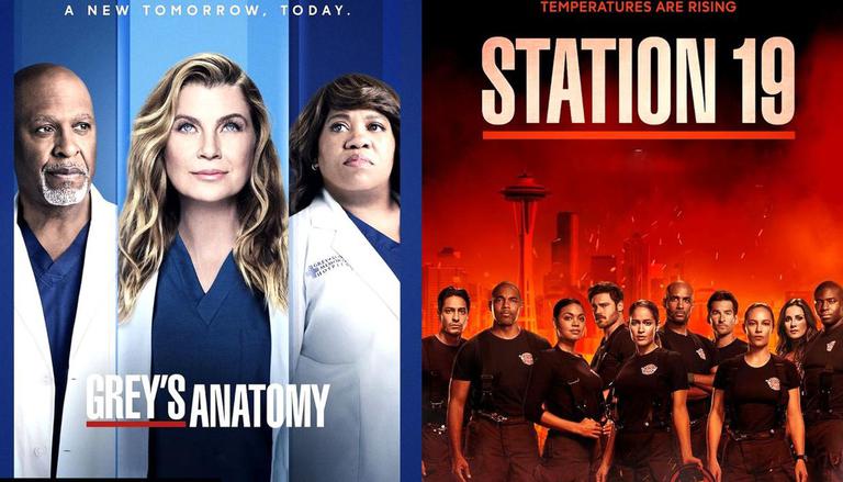 Grey's Anatomy Season 19