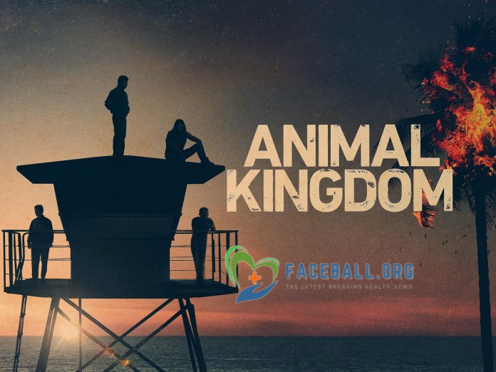  Animal Kingdom Season 6
