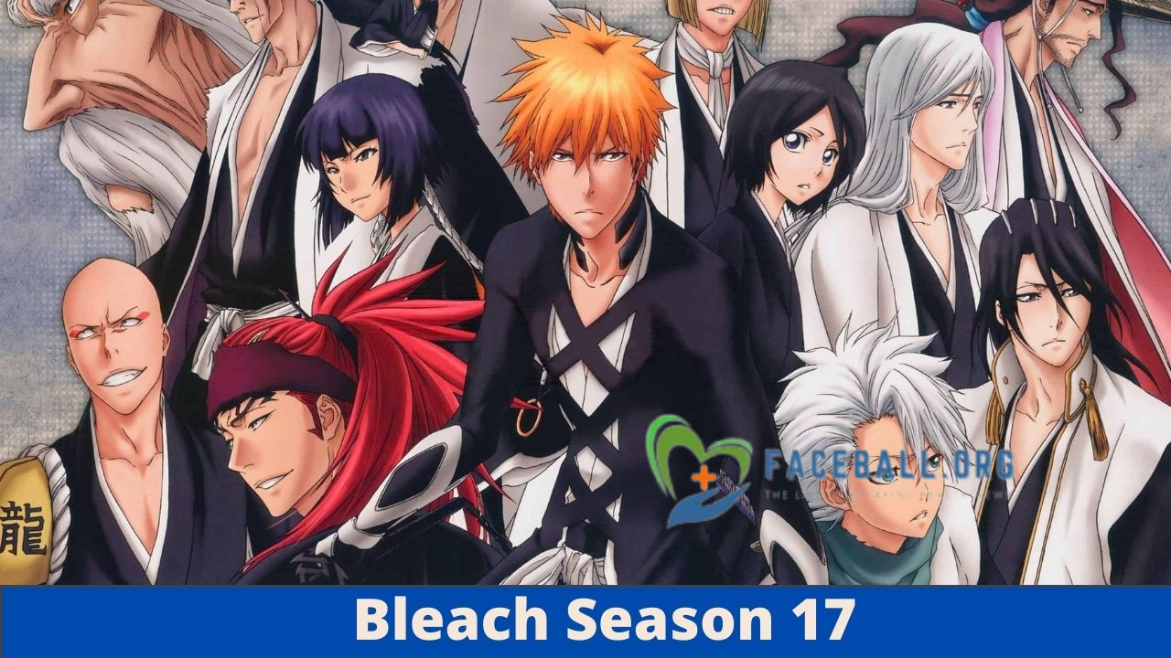Bleach Season 17 Cast