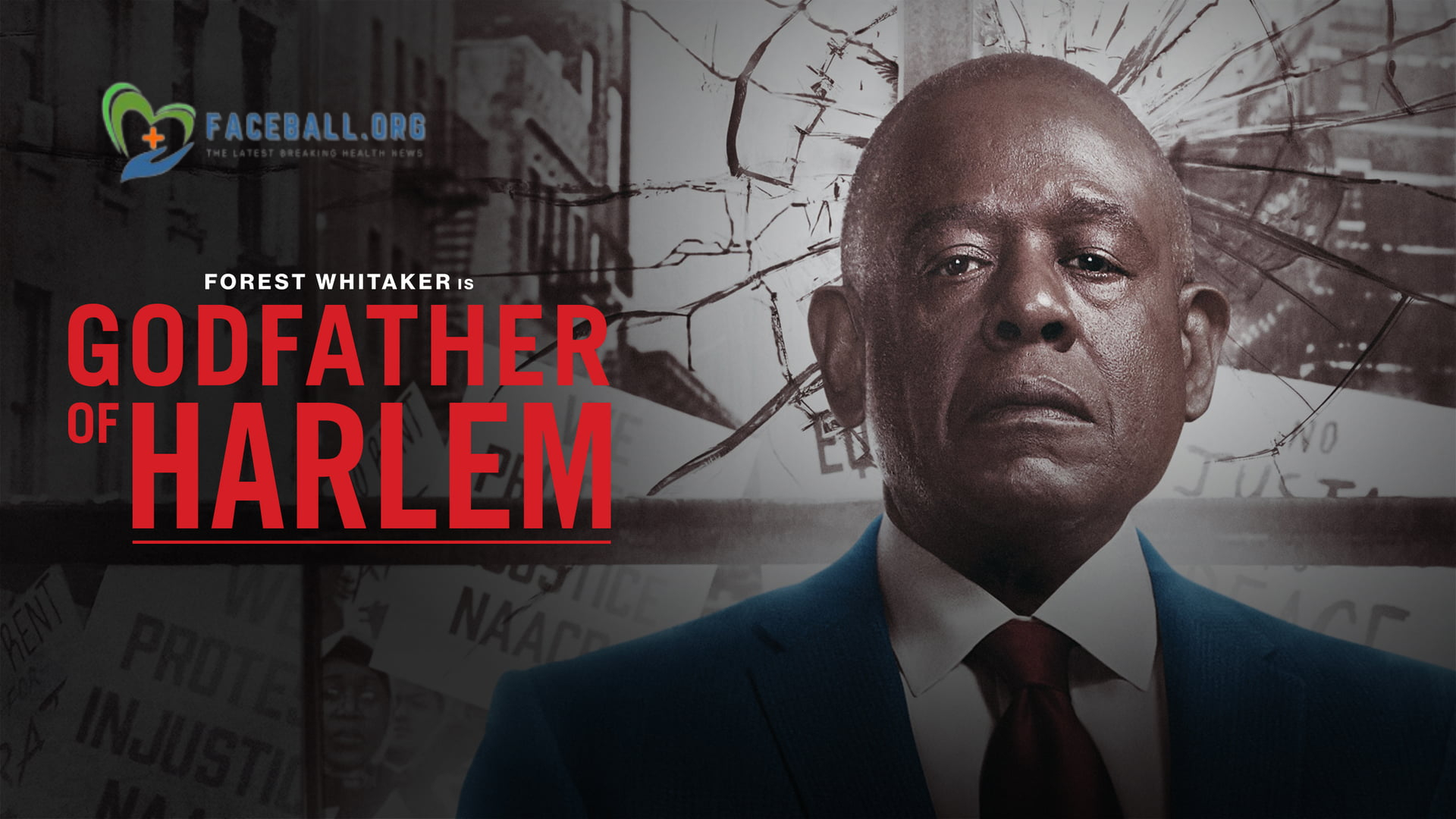 Godfather of Harlem Season 3: When Will Be Come? News that Goes Viral!