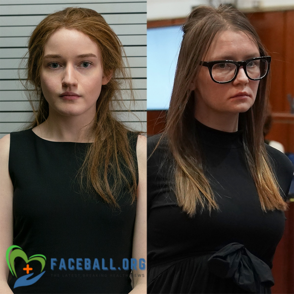 Anna Delvey Case